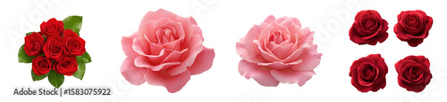 Assortment of red and pink roses isolated on transparent background.