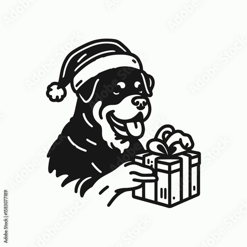Adult Rottweiler Dog wear santa hat opening a gift box. Christmas Holiday Clipart Line Art Vector Illustration Xmas. .