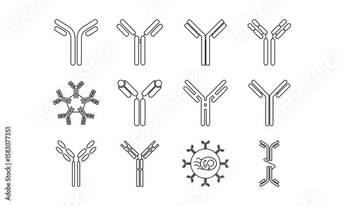 Antibody, immunoglobulin, immune system icon set vector