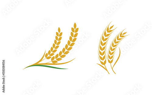 Agriculture Farm wheat rice vector illustration design v.6