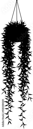 Black silhouette of a hanging plant with long cascading vines and leaves isolated on transparent background silhouette