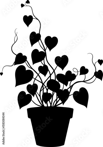 Black silhouette of a heart shaped leaf vine plant growing in a pot isolated on transparent background