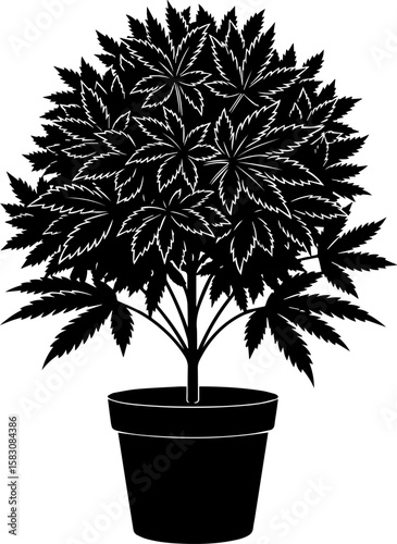 Black silhouette of a healthy cannabis plant in a pot isolated on transparent background
