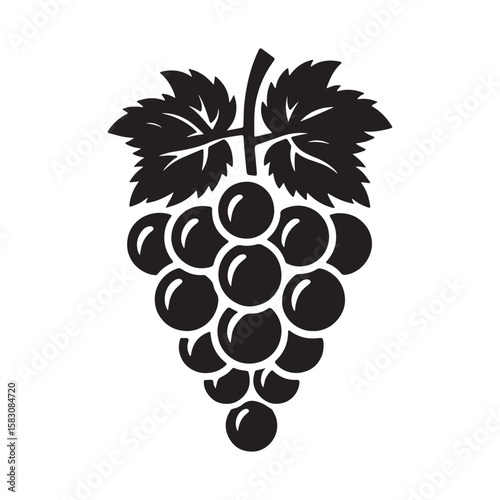 grapes vector illustration