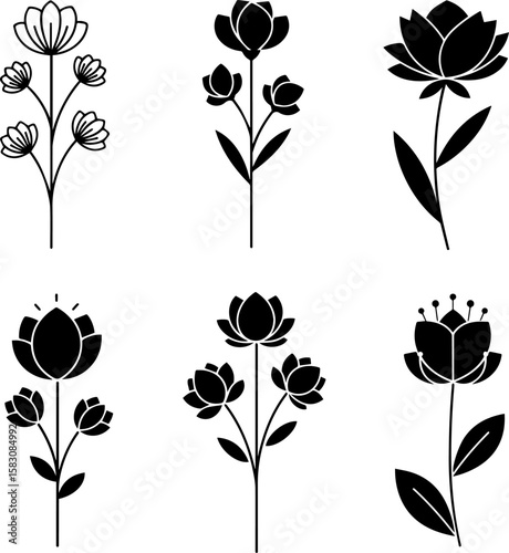 Collection of delicate floral silhouettes with thin stems and leaves isolated on transparent background silhouette