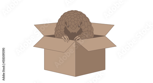 A pangolin with scales peeks out of a brown cardboard box, looking down with its claws visible.