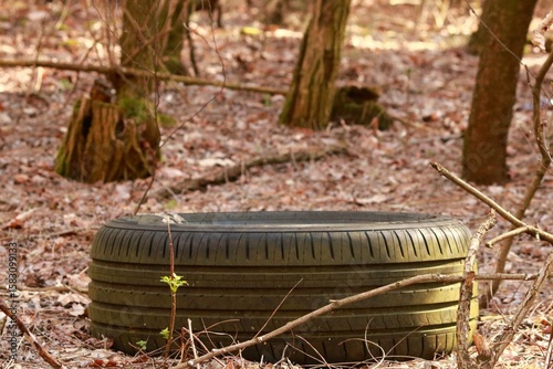 An old, discarded tire lying on the forest floor among natural vegetation. The image captures the contrast between human pollution and untouched nature.