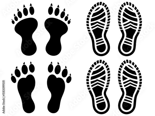 Animal and human footprints side by side comparison