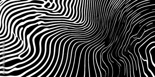 Wallpaper Mural Abstract black and white warped topographic lines for graphic design Torontodigital.ca