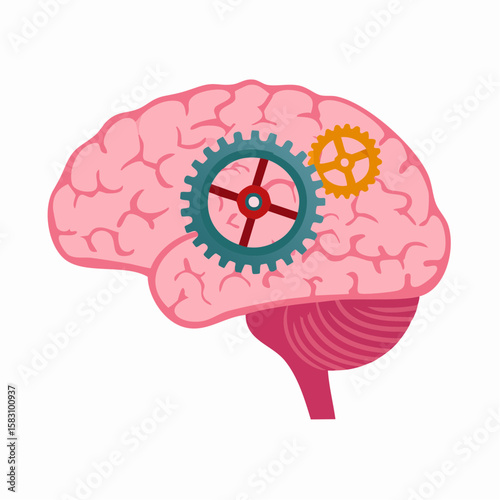 Human brain functioning with clockwork mechanisms inside the head