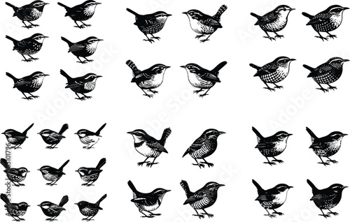 Black and white wren bird silhouettes in various poses