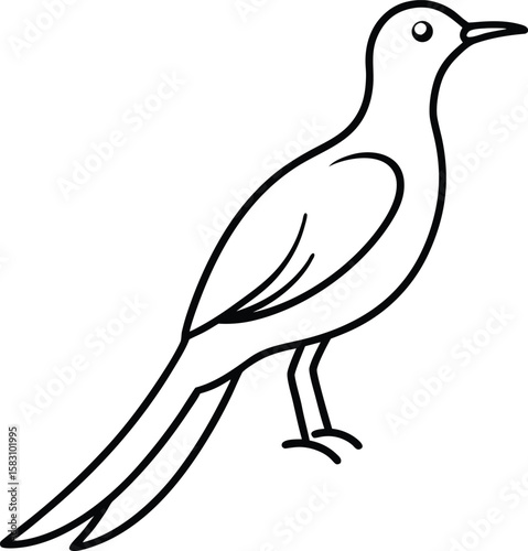 A flicker bird line art vector illustration.