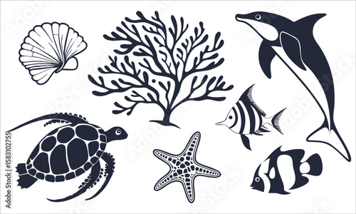 Marine life and coral reef elements dolphin sea turtle