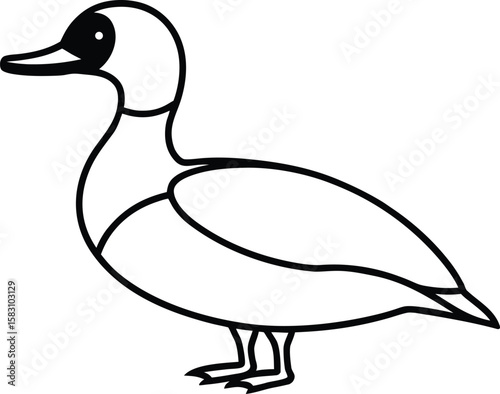 A merganser bird vector illustration.