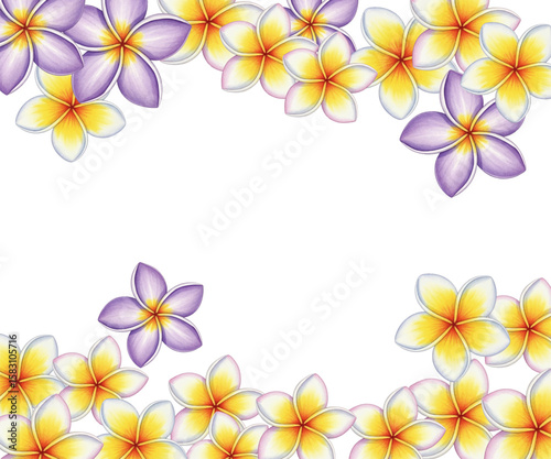 Plumeria or Frangipani Flower Frame Vector Illustration isolated on white background. Tropical flowering plant, tree blossom windy caribbean or hawaiian flowers, SPA symbols.