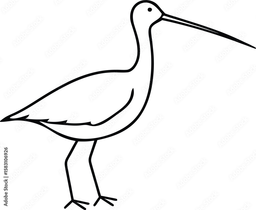 Naklejka premium A snipe bird line art vector illustration.