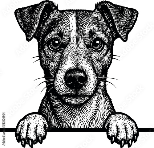 Jack Russel Terrier Peeking vector silhouette design