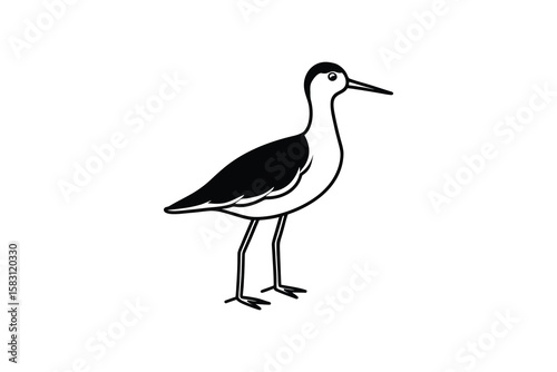 Elegant Black and White Shorebird Illustration with Long Legs and Beak in a Striking Silhouette Style silhouette This stylized illustration shorebird