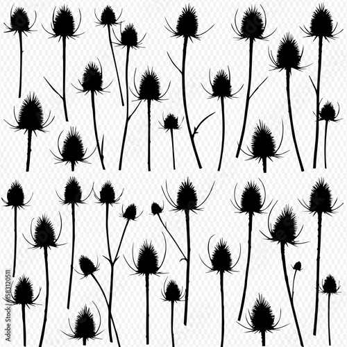 Elegant Teasel Silhouette Pattern Botanical Monochrome Design for Creative Projects and Print on Demand