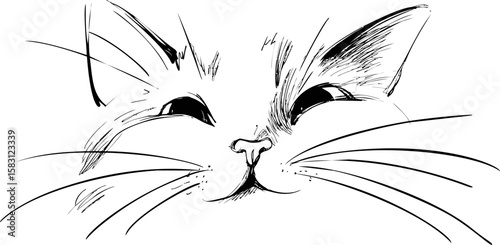 Black and white sketch of a cute cat face with whiskers and pointed ears