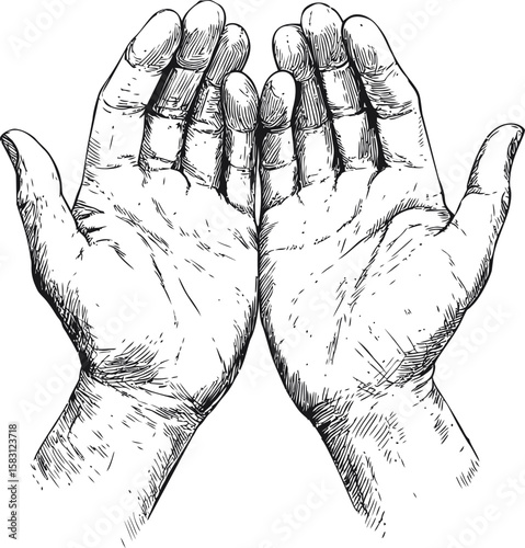 Detailed black and white sketch of two open hands facing upward