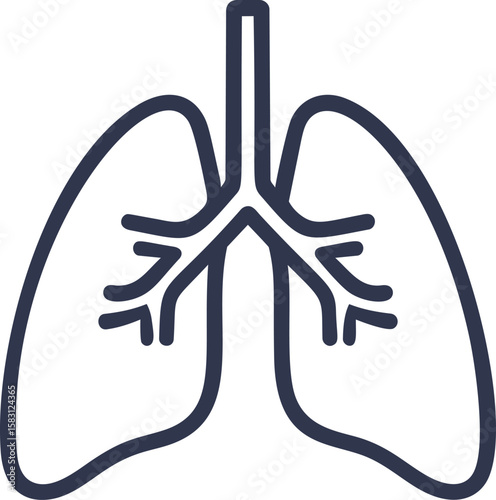 Outline illustration of human lungs with bronchial branches in navy blue