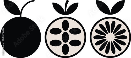 Graphic depiction of an orange, cross section illustration of citrus fruit