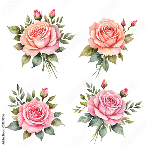 Set of roses with leaves. Flower Vector illustration
