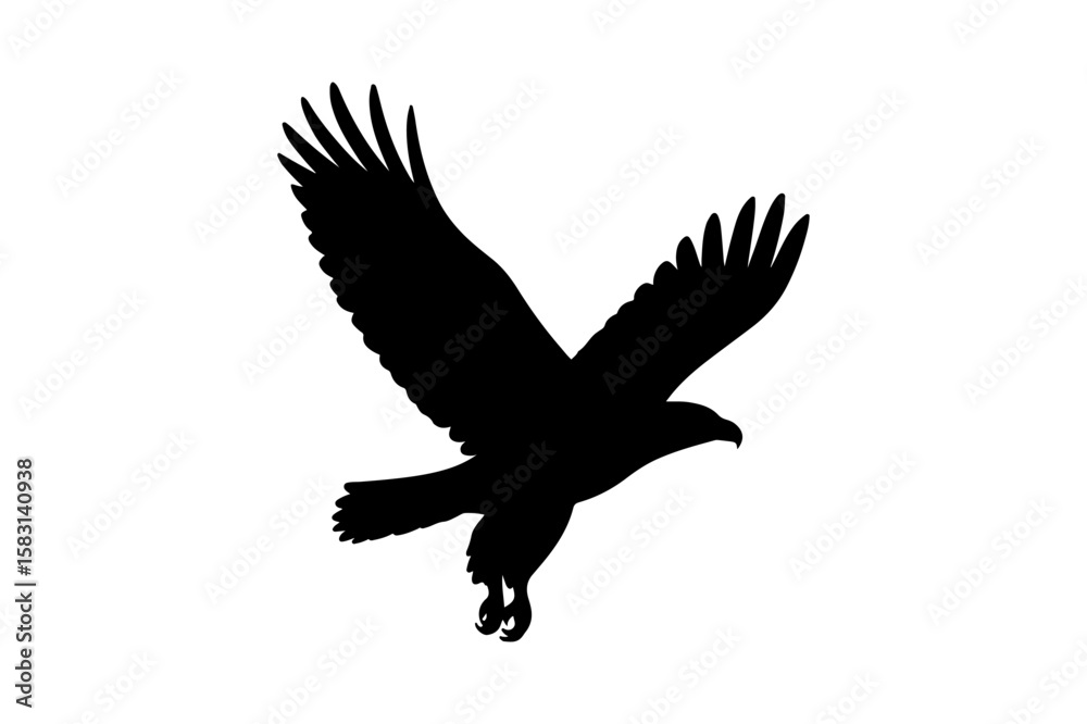 Fototapeta premium Black Silhouette of a Soaring Eagle with Wings Spread on White Background