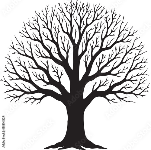 Wide massive old oak tree without leaves isolated silhouette vector illustration, black majestic oak without foliage with a rough trunk and big