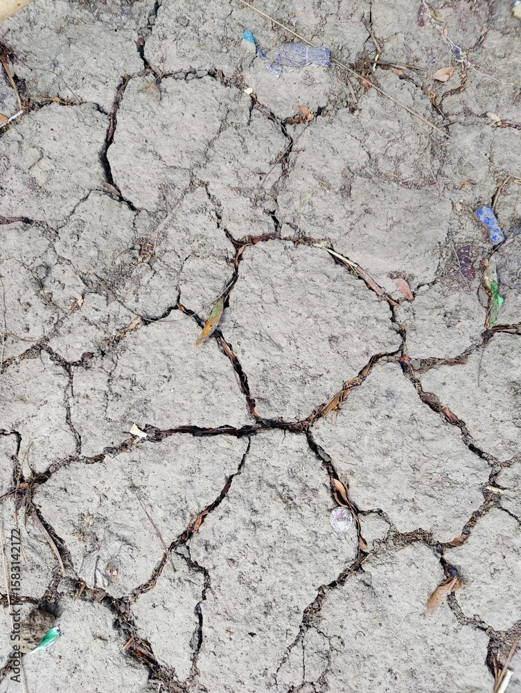 Obraz premium A captivating scene showcasing cracked dry soil with emerging vegetation