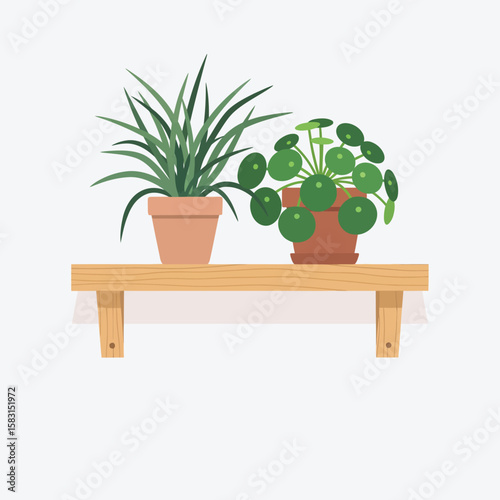 Flat vector illustration of two potted houseplants, a Pilea peperomioides (Chinese Money Plant) and a Spider Plant, placed on a minimalist wooden 