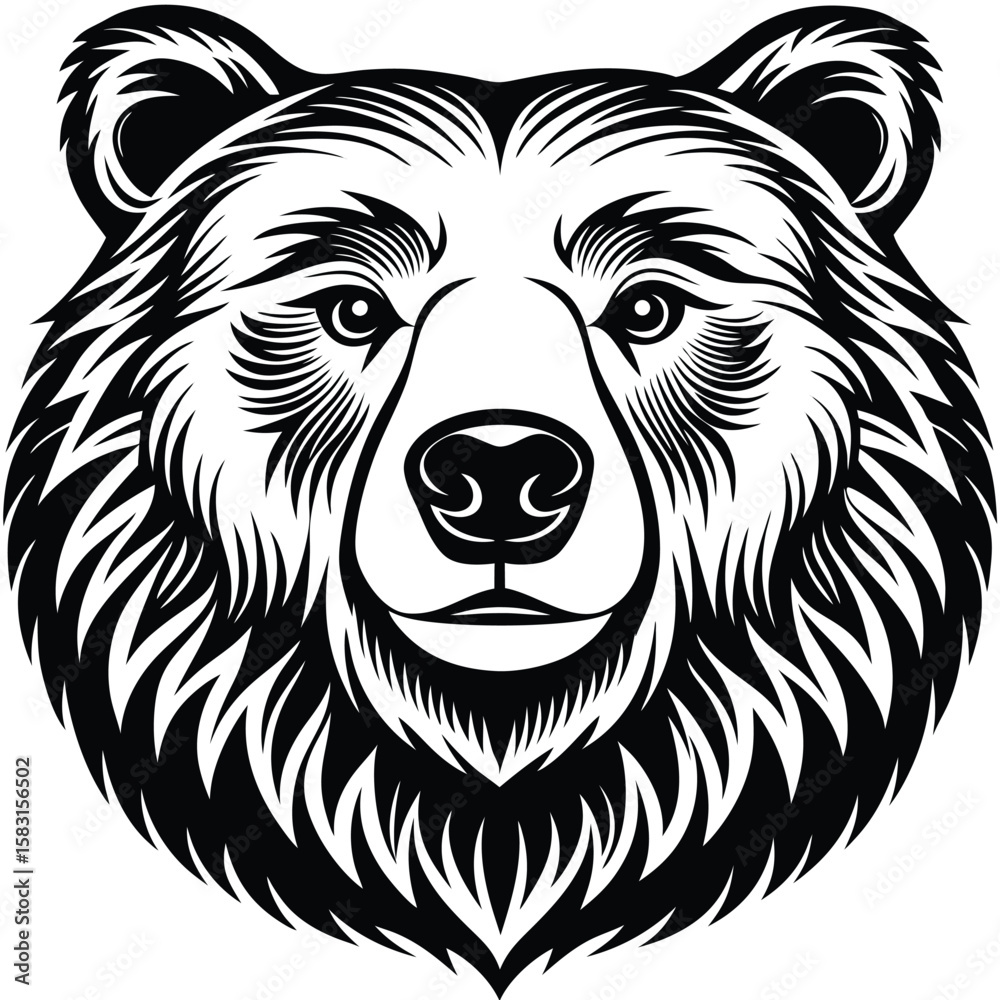 Fototapeta premium Fierce bear head black and white graphic animal wildlife