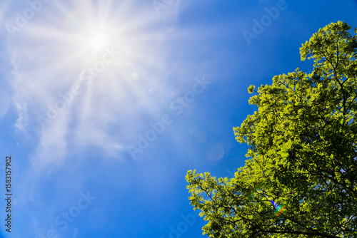 夏の日差し