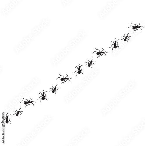 bird tracks, chicken tracks, ant animal foot icon, vector illustration
