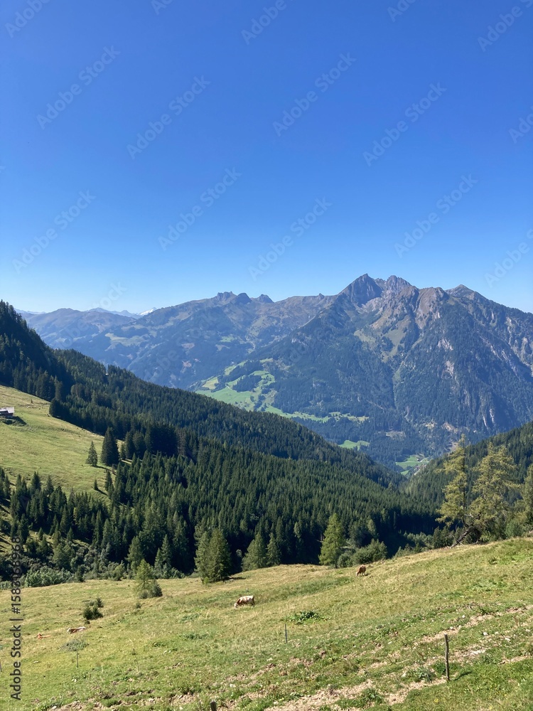 Fototapeta premium mountain landscape in the alps