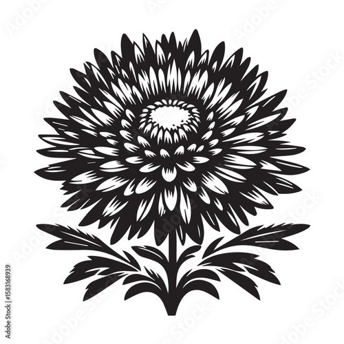 Aster black and white silhouette vector icon
