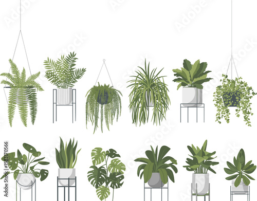 Indoor green plants collection, decorative houseplants in pots, hanging and standing planters illustration, modern botanical foliage, minimalist leaf decor, vector home greenery design