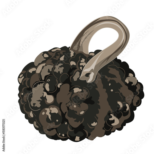 Funny small decorative pimpled pumpkin illustration isolated on white. Pimply and warty gourd vector drawing