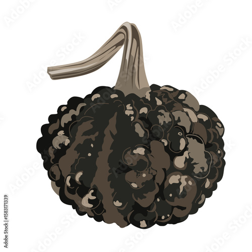 Funny small decorative pimpled pumpkin illustration isolated on white. Pimply and warty gourd vector drawing