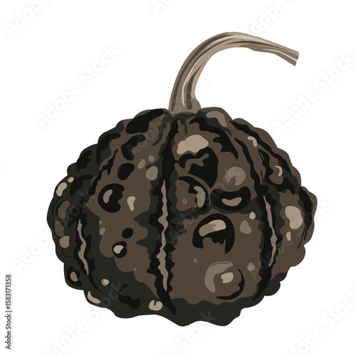 Funny small decorative pimpled pumpkin illustration isolated on white. Pimply and warty gourd vector drawing
