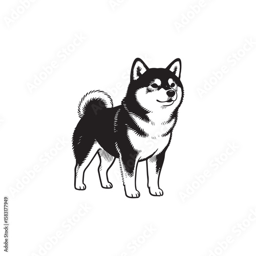Pig vector piglet farm animal cute pig cartoon pig illustration pig graphic pig design pig art