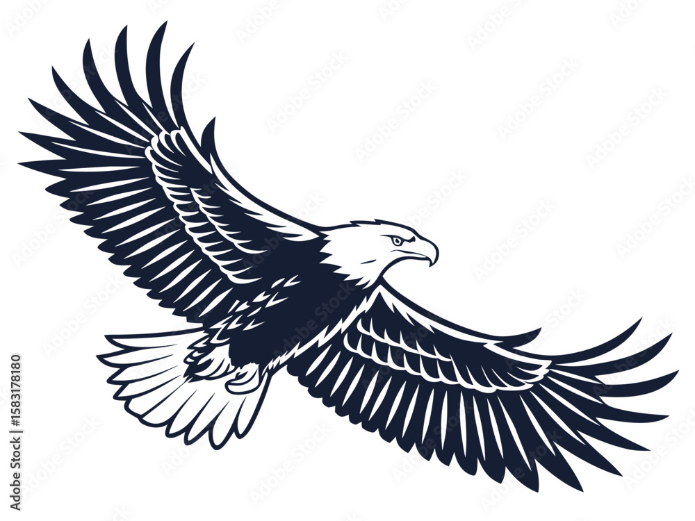 Obraz premium eagle vector illustration