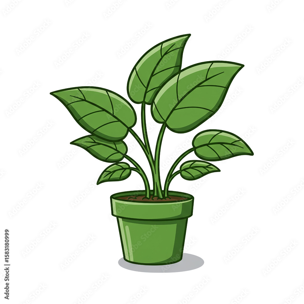 Fototapeta premium Healthy Green Houseplant in Pot with Large Leaves in Bright Indoor Setting