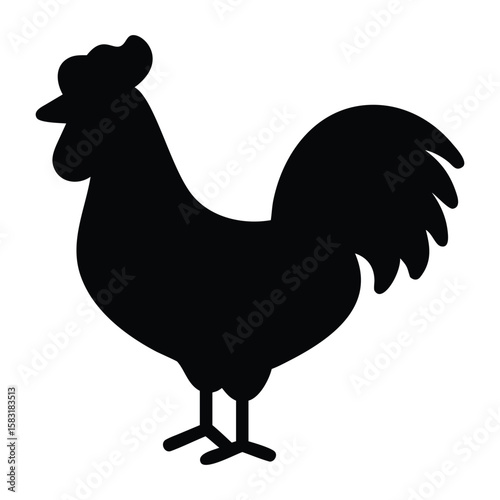 rooster vector illustration