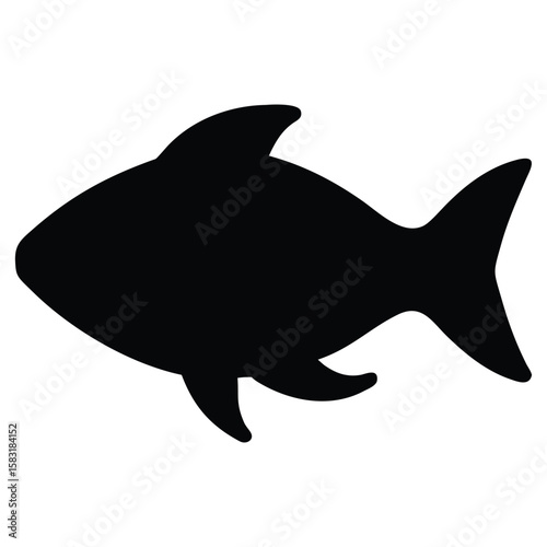 dolphin vector illustration