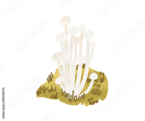Cluster of white mushrooms (enoki or shimeji) growing from moss. Hand-drawn botanical illustration with earthy tones.