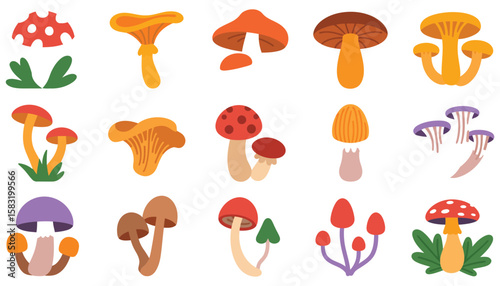 Red toadstool mushroom vector icon set with edible fungi, forest plants, and autumn nature illustrations