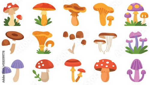 A diverse set of isolated cartoon mushroom vector illustrations featuring various edible and inedible fungi from forest to grass, perfect for nature and food-themed designs