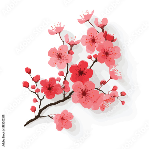 cherry blossom flower isolated in White Background, cherry blossom flower vector, Flat lay vector illustration